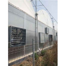 玻璃鋼無(wú)動(dòng)力風(fēng)機(jī)價(jià)格 玻璃鋼無(wú)動(dòng)力風(fēng)機(jī)批發(fā) 玻璃鋼無(wú)動(dòng)力風(fēng)機(jī)廠家 