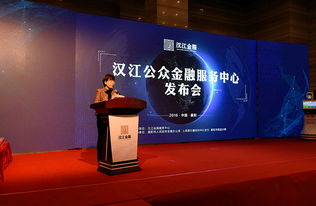 襄陽漢江金融服務中心上線 創(chuàng)新服務助力企業(yè)融資發(fā)展