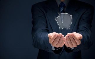 魚貓金服 金融服務全解析，讓財富管理觸手可及